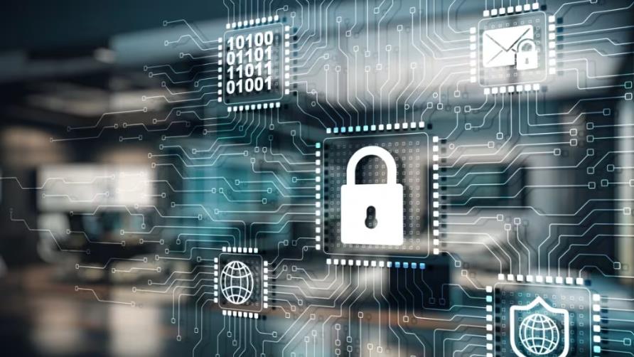 网站建设公司